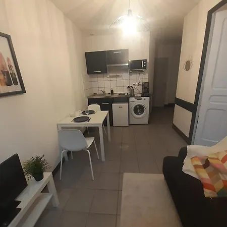 Daire Elise En Plein Coeur De La Saint-Etienne (Loire)